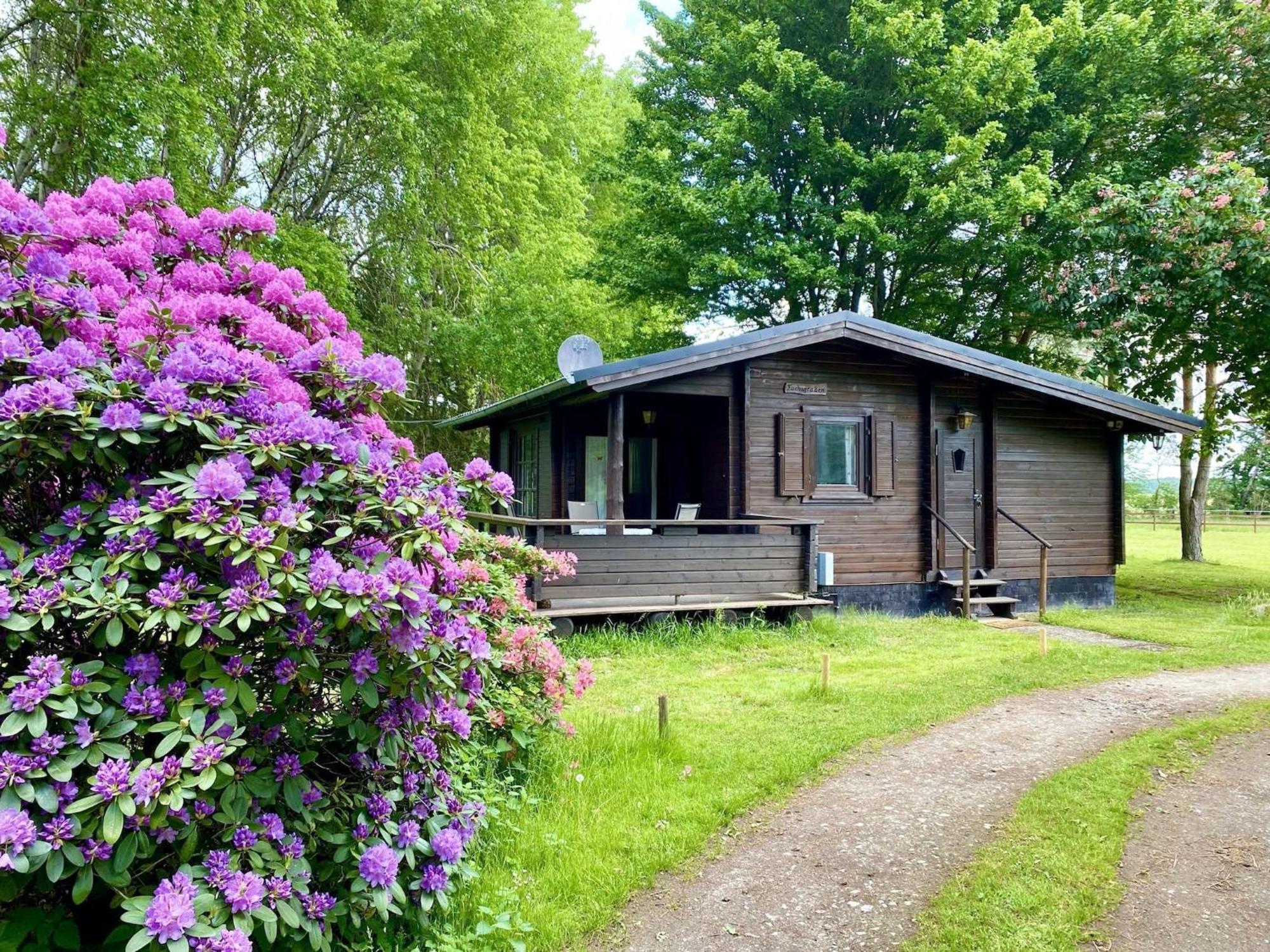 Cozy Holiday Home On A Horse Farm In The L Neburg Heath Eschede Ngoại thất bức ảnh