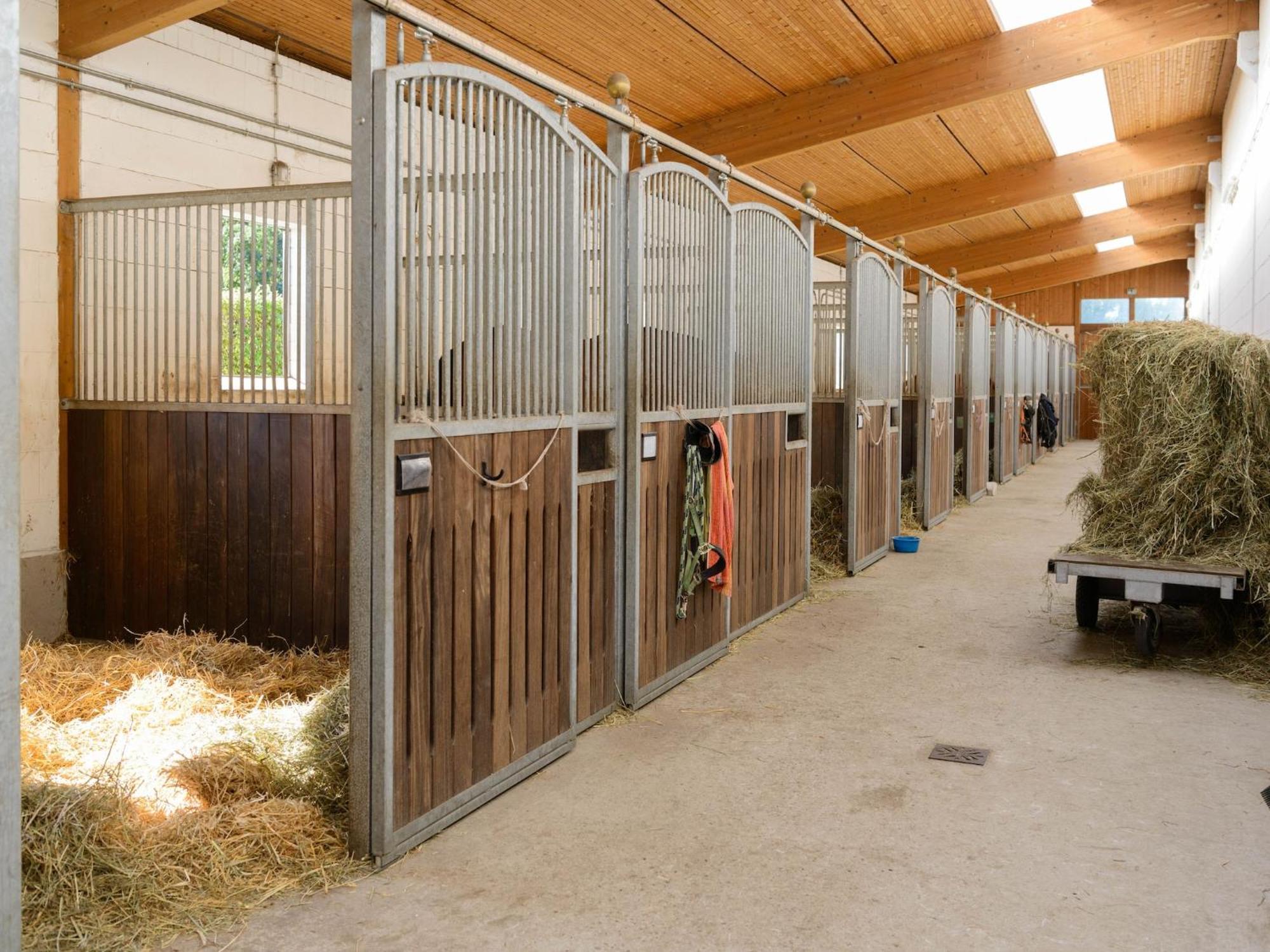 Cozy Holiday Home On A Horse Farm In The L Neburg Heath Eschede Ngoại thất bức ảnh