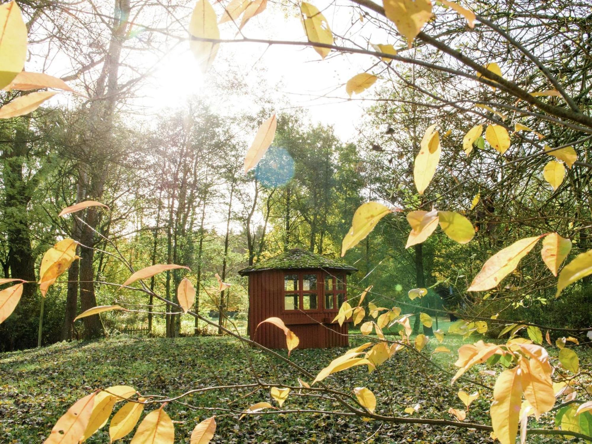 Cozy Holiday Home On A Horse Farm In The L Neburg Heath Eschede Ngoại thất bức ảnh