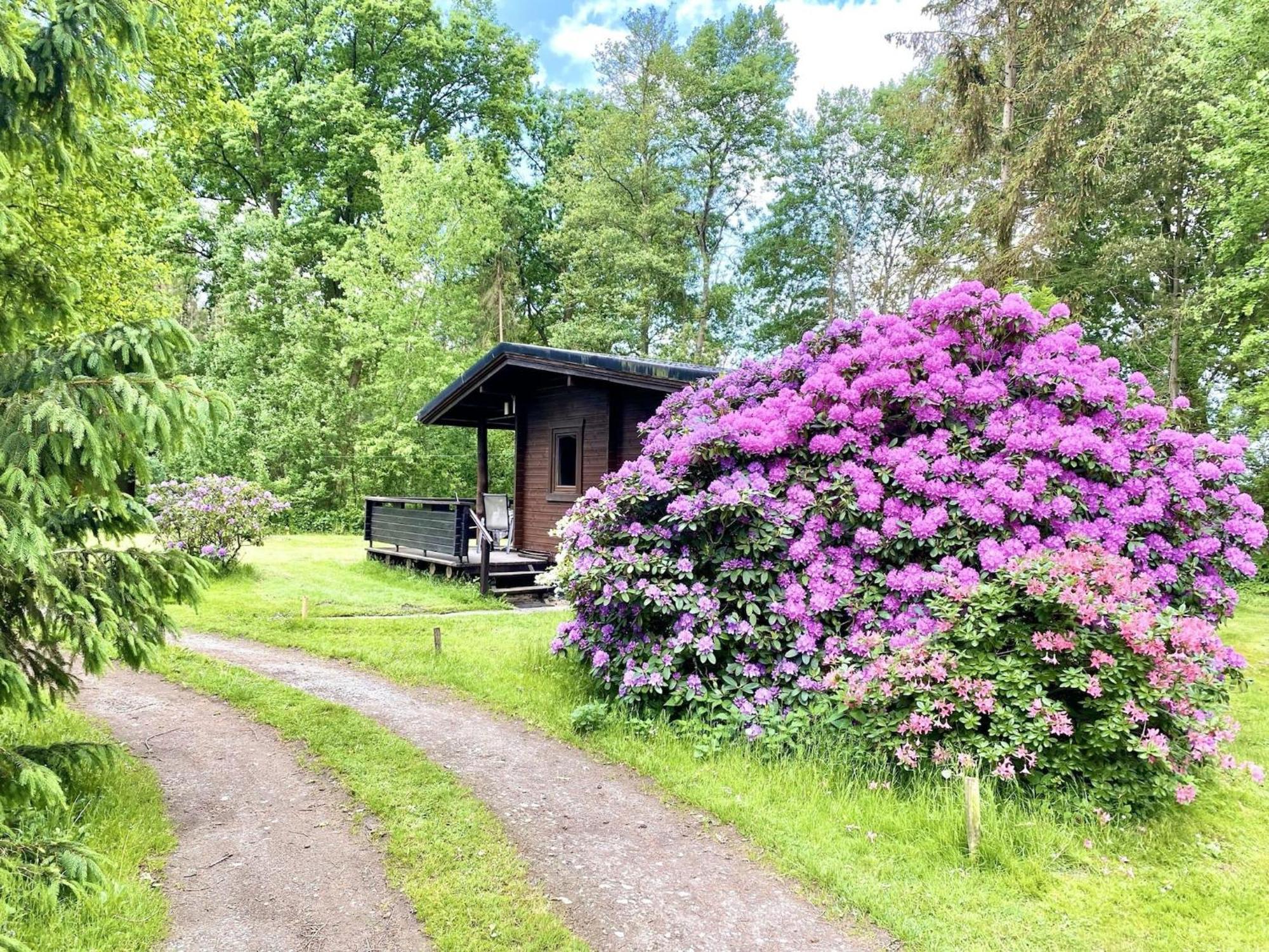 Cozy Holiday Home On A Horse Farm In The L Neburg Heath Eschede Ngoại thất bức ảnh